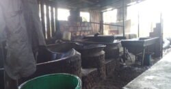 IFS VENDE: FINCA  CON TRAPICHE EN MUNICIPIO GUASIMOS ESTADO TÁCHIRA  VENEZUELA.