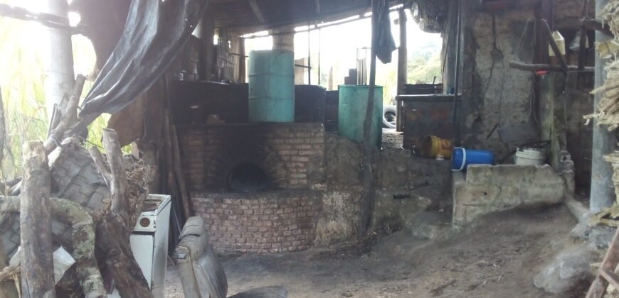 IFS VENDE: FINCA  CON TRAPICHE EN MUNICIPIO GUASIMOS ESTADO TÁCHIRA  VENEZUELA.