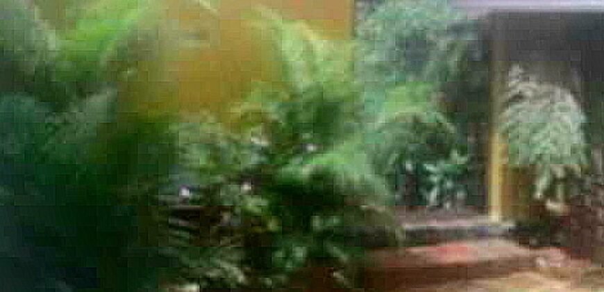 Vende Quinta zona alta Av. Carabobo, Residencial-Comercial,  Barrio Obrero, San Cristóbal, Táchira, Venezuela.