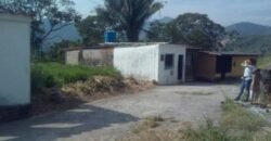 VENDE:  TERRENO EN EL PALMAR  MUNICIPIO TORBES ESTADO TÁCHIRA VENEZUELA.